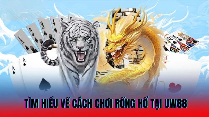 Tìm hiểu về cách chơi rồng hổ tại UW88
