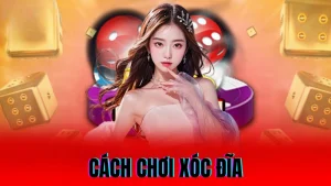 Cách chơi xóc đĩa